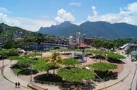 Agencia San Martín Carga en Tingo María